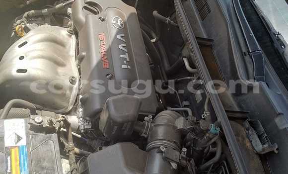 Buy Used Toyota RAV4 Black Car in Ouagadougou in Burkina Faso Buy Used Toyota RAV4 Black Car in Ouagadougou in Burkina Faso