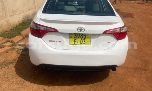 Buy Used Toyota Corolla White Car in Ouagadougou in Burkina Faso Buy Used Toyota Corolla White Car in Ouagadougou in Burkina Faso