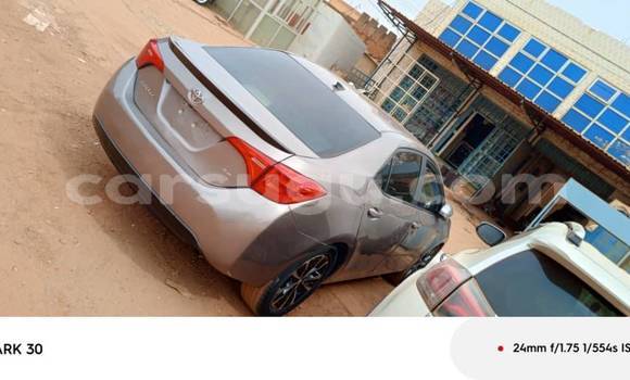 Buy Used Toyota Corolla Other Car in Ouagadougou in Burkina Faso Buy Used Toyota Corolla Other Car in Ouagadougou in Burkina Faso