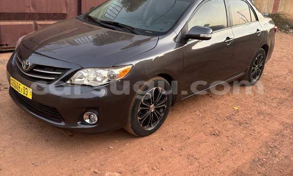Buy Used Toyota Corolla Other Car in Ouagadougou in Burkina Faso Buy Used Toyota Corolla Other Car in Ouagadougou in Burkina Faso
