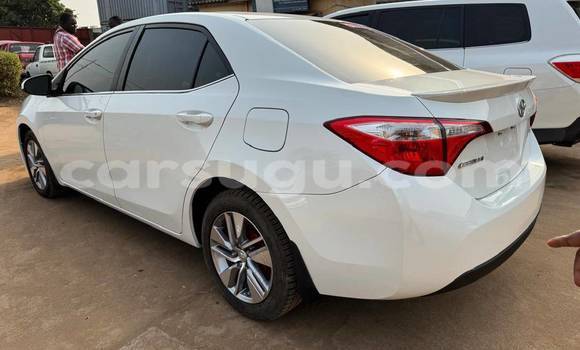 Buy Used Toyota Corolla White Car in Ouagadougou in Burkina Faso Buy Used Toyota Corolla White Car in Ouagadougou in Burkina Faso