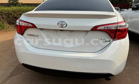 Buy Used Toyota Corolla White Car in Ouagadougou in Burkina Faso Buy Used Toyota Corolla White Car in Ouagadougou in Burkina Faso