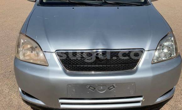 Buy Used Toyota Corolla Other Car in Ouagadougou in Burkina Faso Buy Used Toyota Corolla Other Car in Ouagadougou in Burkina Faso