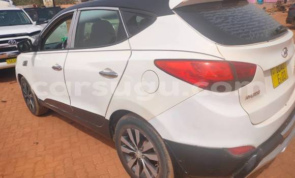 Buy Used Hyundai Tucson White Car in Ouagadougou in Burkina Faso Buy Used Hyundai Tucson White Car in Ouagadougou in Burkina Faso