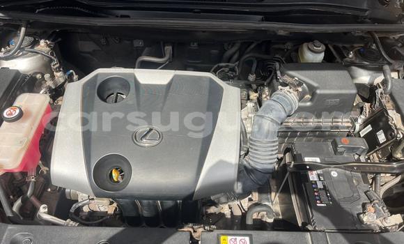 Acheter Occasion Voiture Lexus NX Gris à Ouagadougou, Burkina-Faso Acheter Occasion Voiture Lexus NX Gris à Ouagadougou, Burkina-Faso