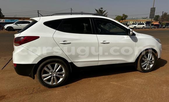 Acheter Occasion Voiture Hyundai Tucson Blanc à Ouagadougou, Burkina-Faso Acheter Occasion Voiture Hyundai Tucson Blanc à Ouagadougou, Burkina-Faso