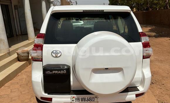 Acheter Import Voiture Toyota Land Cruiser Prado Blanc à Ouagadougou, Burkina-Faso Acheter Import Voiture Toyota Land Cruiser Prado Blanc à Ouagadougou, Burkina-Faso