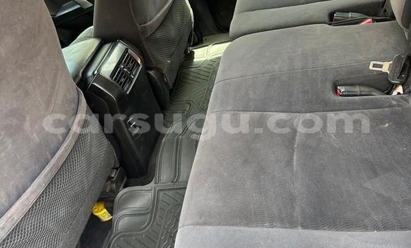 Acheter Import Voiture Toyota Land Cruiser Prado Blanc à Ouagadougou, Burkina-Faso Acheter Import Voiture Toyota Land Cruiser Prado Blanc à Ouagadougou, Burkina-Faso