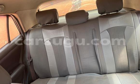 Acheter Occasion Voiture Toyota Hilux Blanc à Ouagadougou, Burkina-Faso Acheter Occasion Voiture Toyota Hilux Blanc à Ouagadougou, Burkina-Faso