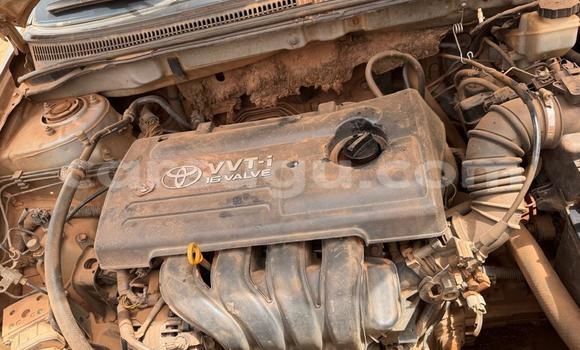 Acheter Occasion Voiture Toyota Hilux Blanc à Ouagadougou, Burkina-Faso Acheter Occasion Voiture Toyota Hilux Blanc à Ouagadougou, Burkina-Faso