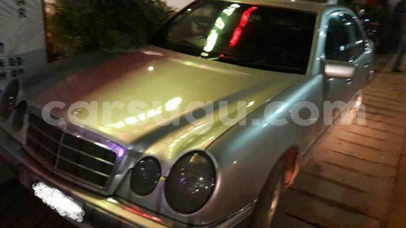 Big with watermark 30623955 578122035882356 6857030771144654848 n