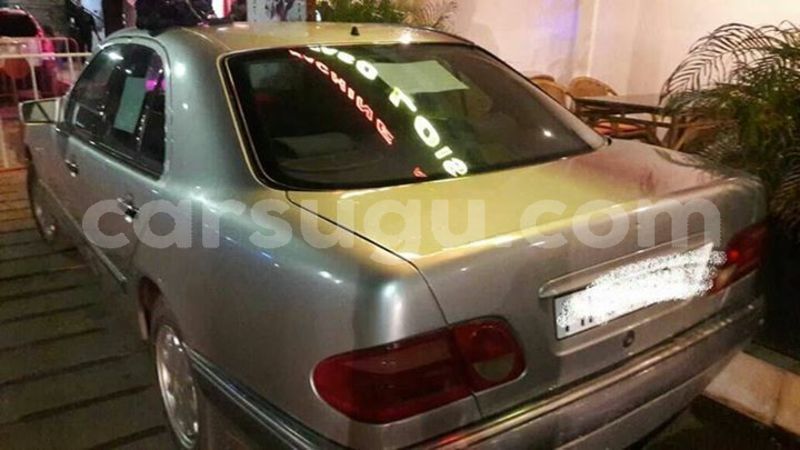 Big with watermark 30629329 194112211393369 244064733525704704 n