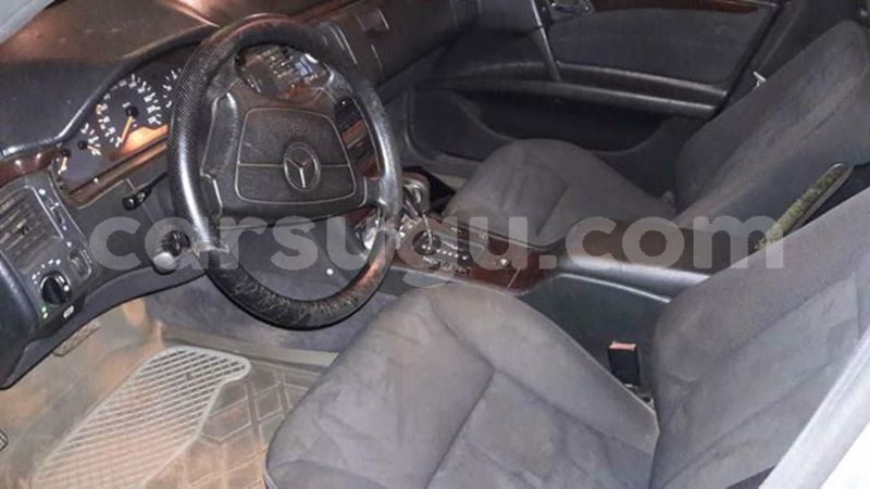 Big with watermark 30713367 2109701875916457 3681336901257956076 n