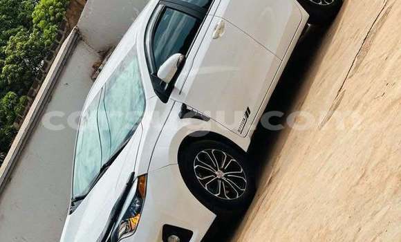 Buy Used Toyota Corolla White Car in Ouagadougou in Burkina Faso Buy Used Toyota Corolla White Car in Ouagadougou in Burkina Faso