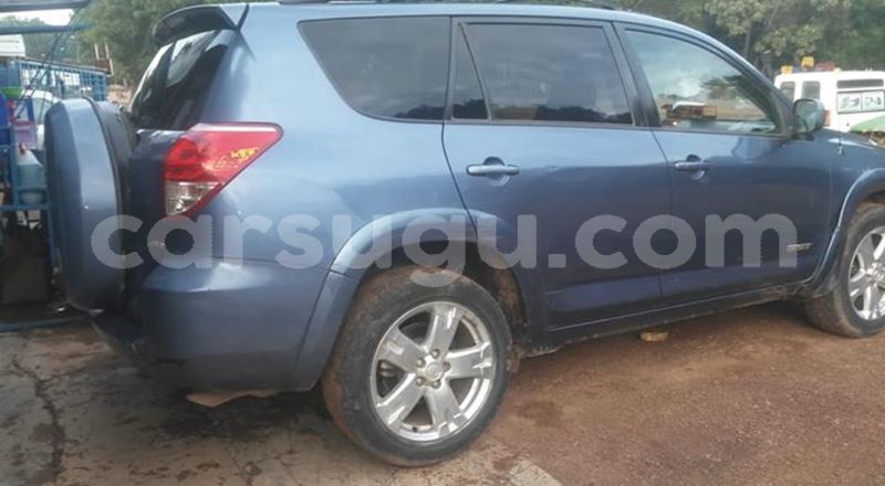 Big with watermark 30629329 194112211393369 244064733525704704 n