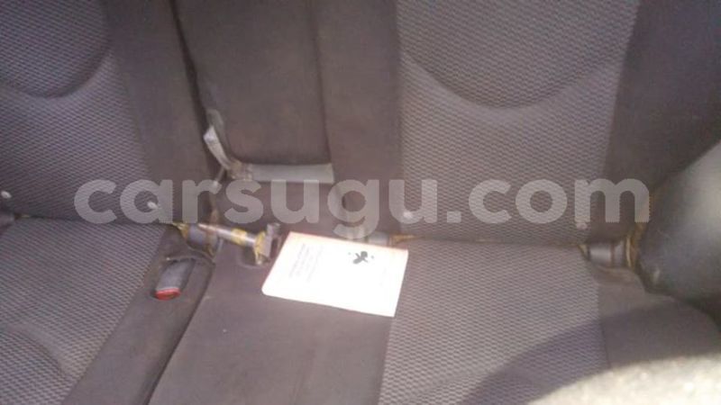 Big with watermark 30713367 2109701875916457 3681336901257956076 n