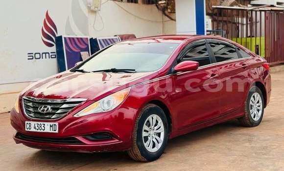 Buy Used Hyundai Sonata Red Car in Ouagadougou in Burkina Faso Buy Used Hyundai Sonata Red Car in Ouagadougou in Burkina Faso