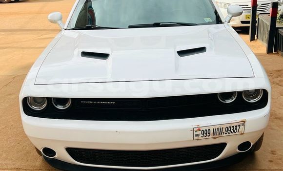 Acheter Import Voiture Dodge Challenger Blanc à Ouagadougou, Burkina-Faso