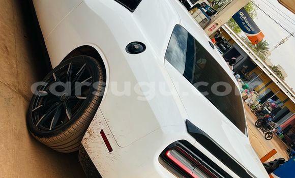 Acheter Import Voiture Dodge Challenger Blanc à Ouagadougou, Burkina-Faso Acheter Import Voiture Dodge Challenger Blanc à Ouagadougou, Burkina-Faso