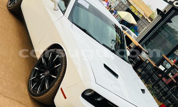 Acheter Import Voiture Dodge Challenger Blanc à Ouagadougou, Burkina-Faso Acheter Import Voiture Dodge Challenger Blanc à Ouagadougou, Burkina-Faso