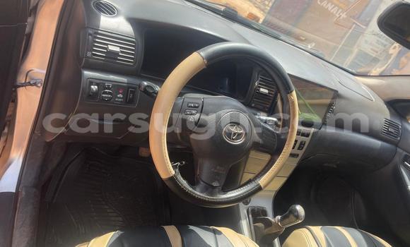 Acheter Occasion Voiture Toyota Corolla Gris à Ouagadougou, Burkina-Faso Acheter Occasion Voiture Toyota Corolla Gris à Ouagadougou, Burkina-Faso