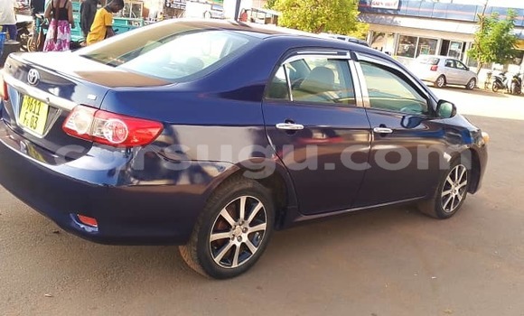 Acheter Occasion Voiture Toyota Corolla Bleu à Ouagadougou, Burkina-Faso Acheter Occasion Voiture Toyota Corolla Bleu à Ouagadougou, Burkina-Faso