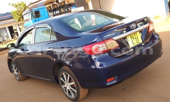 Acheter Occasion Voiture Toyota Corolla Bleu à Ouagadougou, Burkina-Faso Acheter Occasion Voiture Toyota Corolla Bleu à Ouagadougou, Burkina-Faso