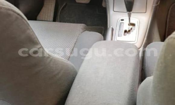 Acheter Occasion Voiture Toyota Corolla Gris à Ouagadougou, Burkina-Faso Acheter Occasion Voiture Toyota Corolla Gris à Ouagadougou, Burkina-Faso