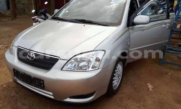 Acheter Occasion Voiture Toyota Corolla Gris à Ouagadougou, Burkina-Faso Acheter Occasion Voiture Toyota Corolla Gris à Ouagadougou, Burkina-Faso