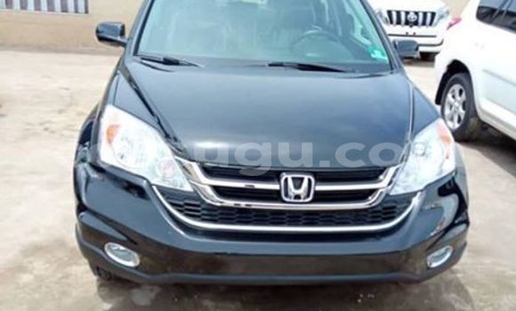 Acheter Occasion Voiture Honda CR–V Autre à Ouagadougou, Burkina-Faso