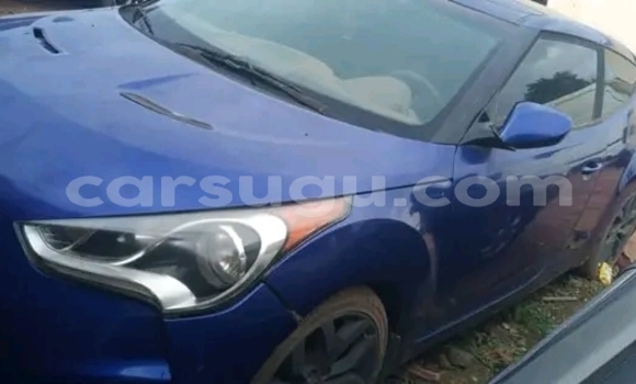 Sayi Na hannu Hyundai H1 Blue Mota in Boromo a Bale Sayi Na hannu Hyundai H1 Blue Mota in Boromo a Bale