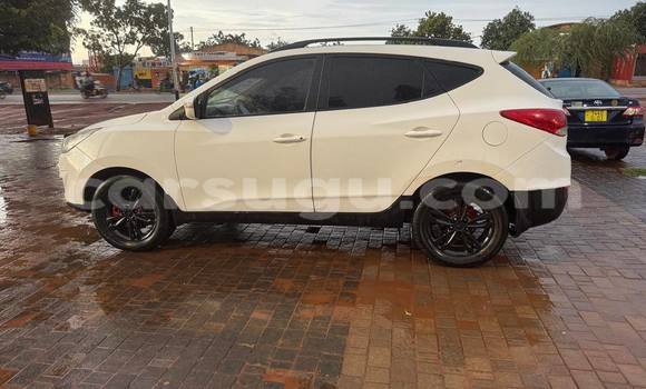 Buy Used Hyundai Tucson White Car in Ouagadougou in Burkina Faso Buy Used Hyundai Tucson White Car in Ouagadougou in Burkina Faso