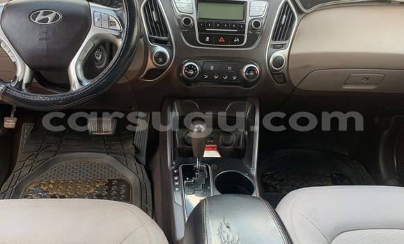 Buy Used Hyundai Tucson Blue Car in Ouagadougou in Burkina Faso Buy Used Hyundai Tucson Blue Car in Ouagadougou in Burkina Faso
