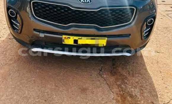 Buy Used Kia Sportage Other Car in Ouagadougou in Burkina Faso Buy Used Kia Sportage Other Car in Ouagadougou in Burkina Faso
