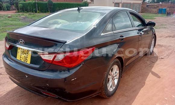 Buy Used Hyundai Sonata Black Car in Ouagadougou in Burkina Faso Buy Used Hyundai Sonata Black Car in Ouagadougou in Burkina Faso