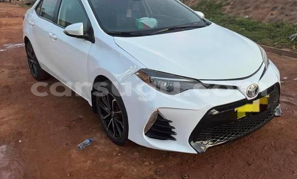 Buy Used Toyota Corolla White Car in Ouagadougou in Burkina Faso Buy Used Toyota Corolla White Car in Ouagadougou in Burkina Faso