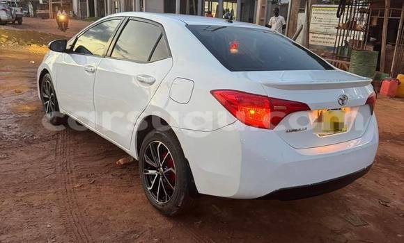 Buy Used Toyota Corolla White Car in Ouagadougou in Burkina Faso Buy Used Toyota Corolla White Car in Ouagadougou in Burkina Faso