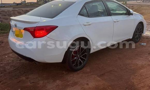 Buy Used Toyota Corolla White Car in Ouagadougou in Burkina Faso Buy Used Toyota Corolla White Car in Ouagadougou in Burkina Faso