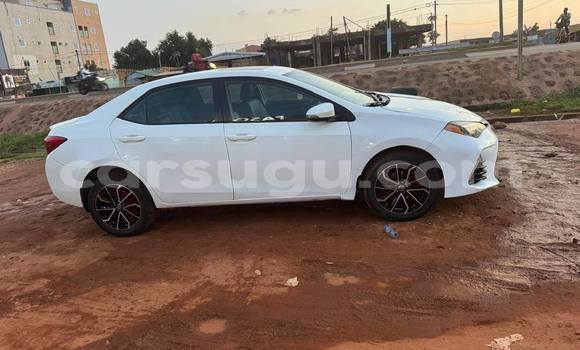 Buy Used Toyota Corolla White Car in Ouagadougou in Burkina Faso Buy Used Toyota Corolla White Car in Ouagadougou in Burkina Faso