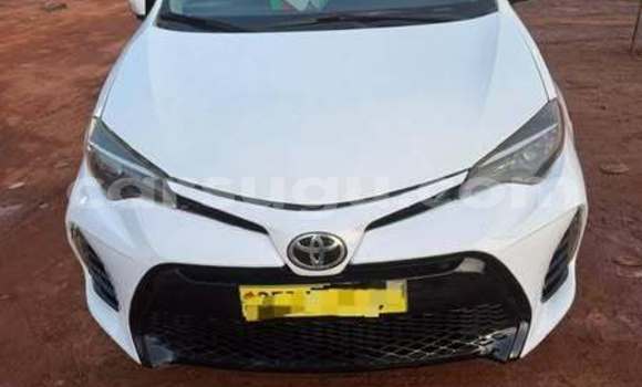 Buy Used Toyota Corolla White Car in Ouagadougou in Burkina Faso Buy Used Toyota Corolla White Car in Ouagadougou in Burkina Faso