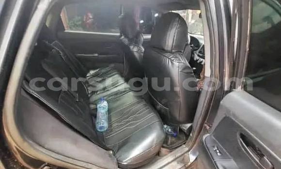 Acheter Occasion Voiture Hyundai Elantra Noir à Ouagadougou, Burkina-Faso Acheter Occasion Voiture Hyundai Elantra Noir à Ouagadougou, Burkina-Faso