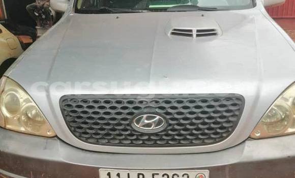 Acheter Occasion Voiture Hyundai Terracan Gris à Ouagadougou, Burkina-Faso Acheter Occasion Voiture Hyundai Terracan Gris à Ouagadougou, Burkina-Faso