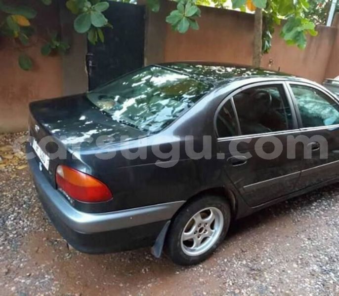 Big with watermark 42435076 713628862331378 1691674780513599488 n