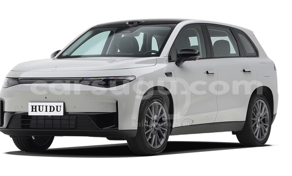 Acheter Neuf Voiture Leapmotor C10 Other à Reo, Sanguie