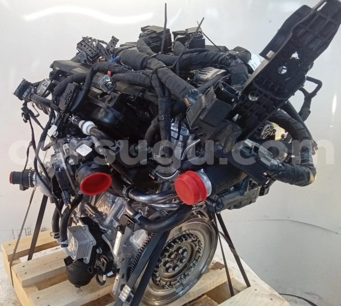 Big with watermark s l16002