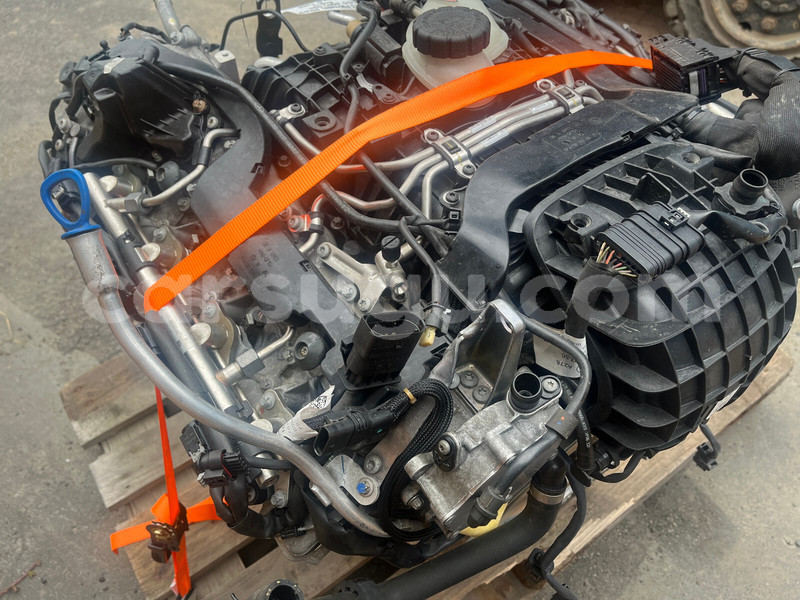 Big with watermark f