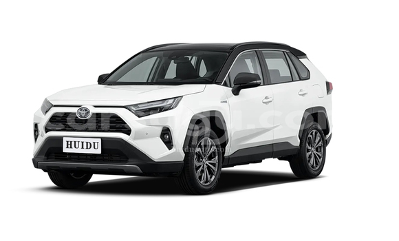 Acheter Neuf Voiture Toyota RAV4 Blanc à Sindou, Leraba