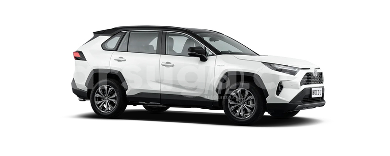 Big with watermark toyota rav4 leraba sindou 11344