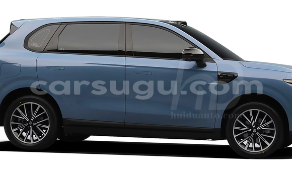 Sayi Sabo Leapmotor T03 Blue Mota in Kantchari a Tapoa Sayi Sabo Leapmotor T03 Blue Mota in Kantchari a Tapoa