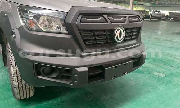 Acheter Import Voiture DongFeng Rich Gris à Ouagadougou, Burkina-Faso Acheter Import Voiture DongFeng Rich Gris à Ouagadougou, Burkina-Faso